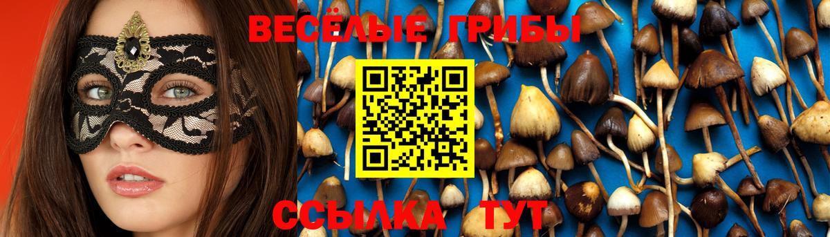Славгород  Псилоцибиновые грибы мухоморы  Вход с VPN 